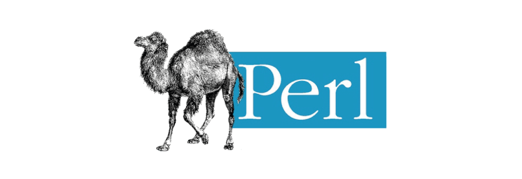 Perl client lib